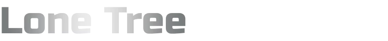 Lone Tree Black Car Service